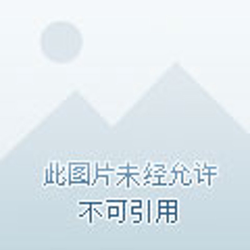 了解如何正确选择和使用建筑设备，是每位项目经理的关键技能之一。