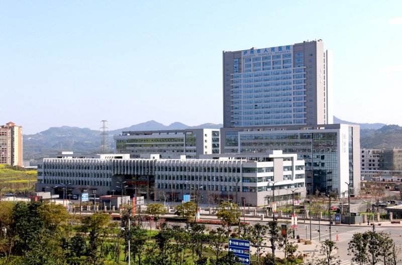 深度解读：如何选择适合的建筑机械设备